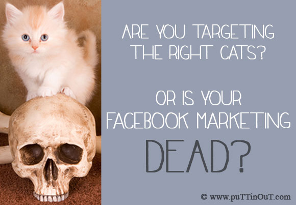 media, social, marketing, puttin, media, social, marketing, brands