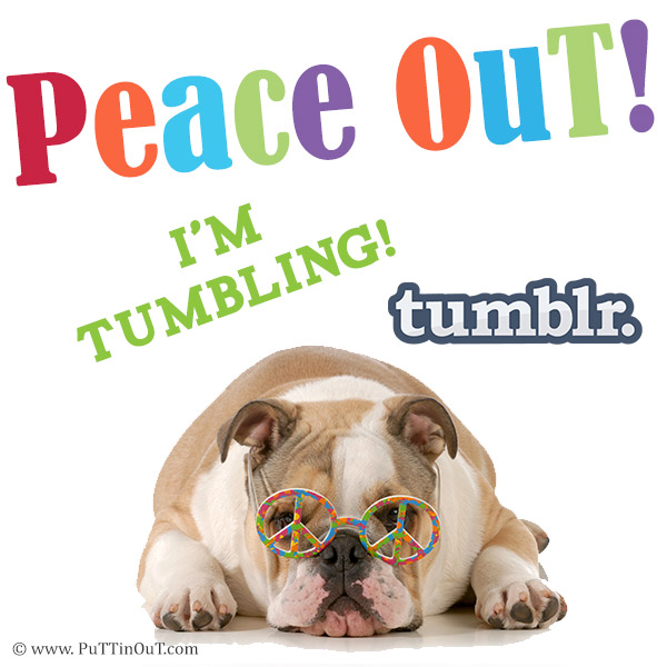 media, social, marketing, puttin, media, social, marketing, brands