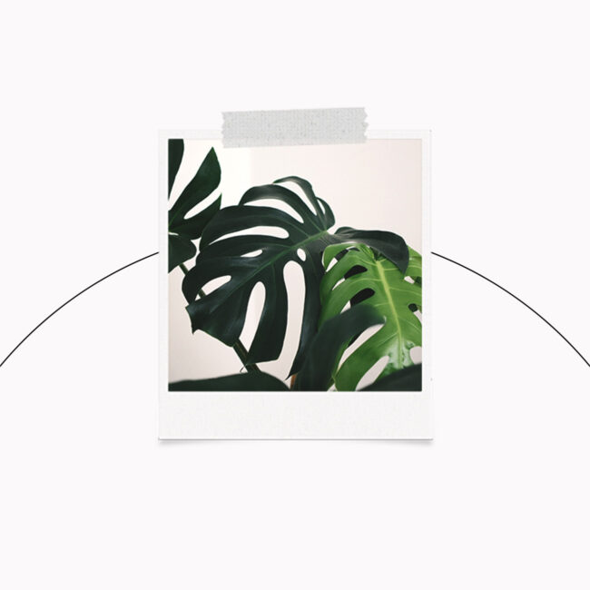 media, social, marketing, puttin, media, social, marketing, brands